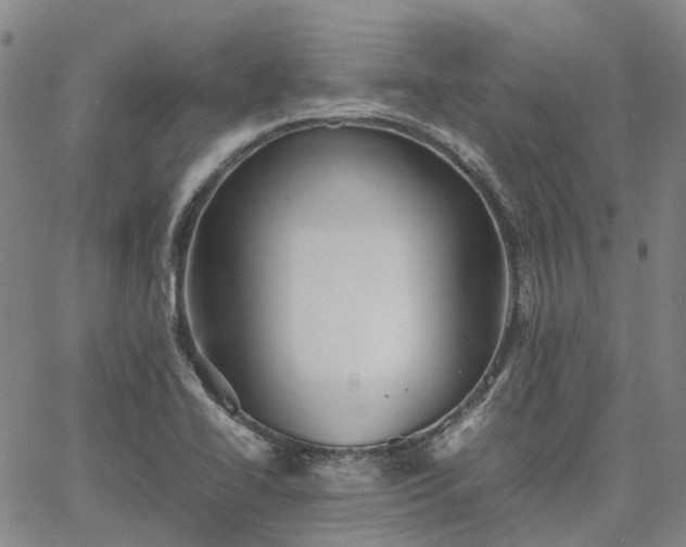 X0000067891414200604201257