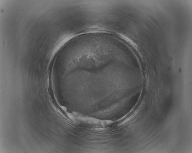 X0000067891415200604201257