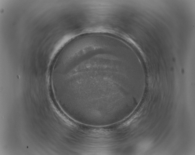 X0000067891416200604201257