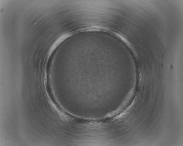 X0000067891418200604201257