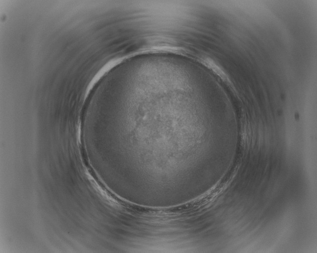 X0000067891420200604201257