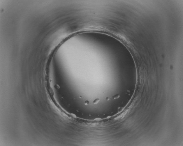 X0000067891422200604201257