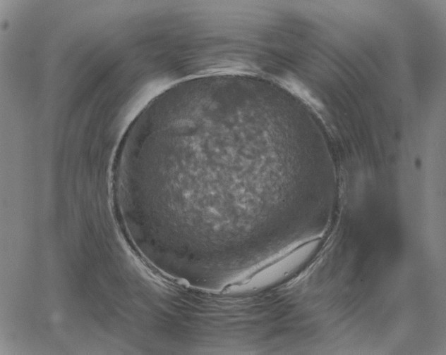 X0000067891423200604201257