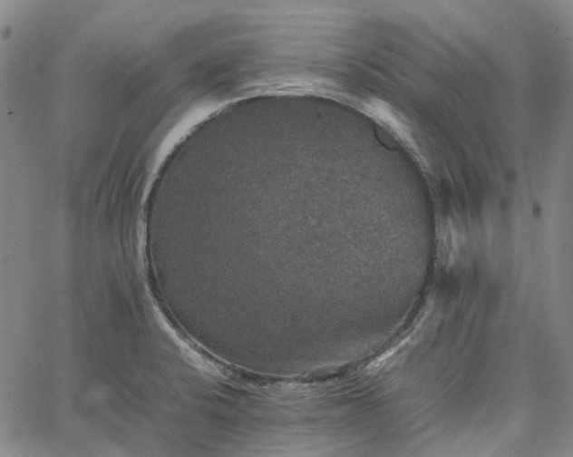 X0000067891424200604201257