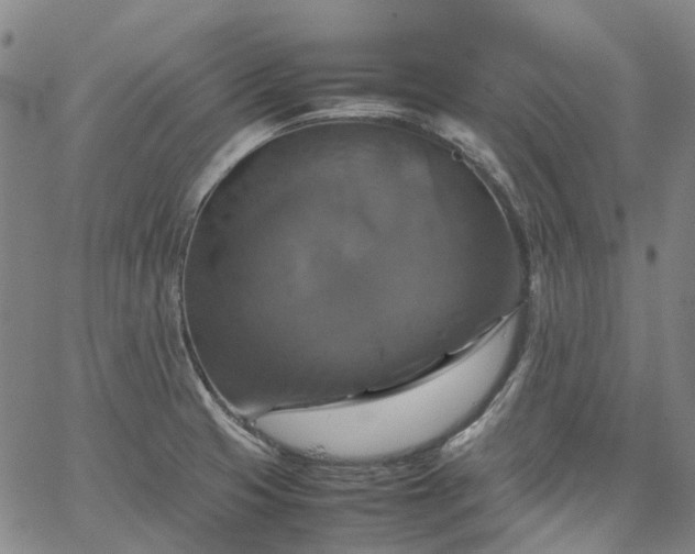 X0000067891425200604201257