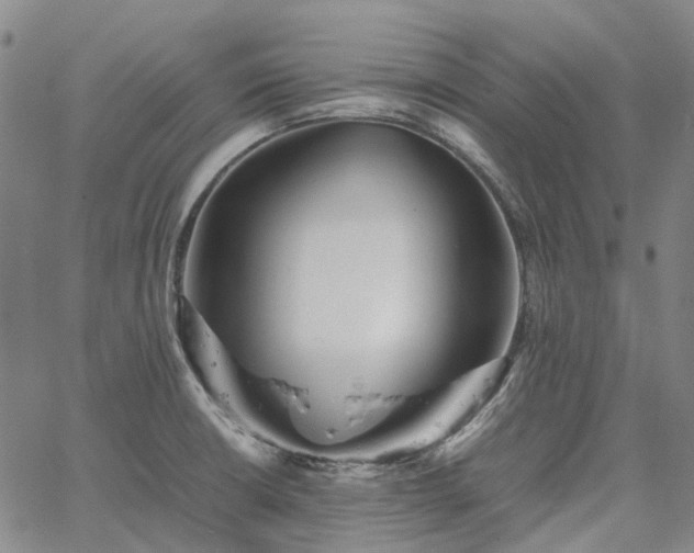 X0000067891426200604201257