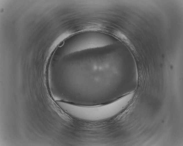 X0000067891427200604201257