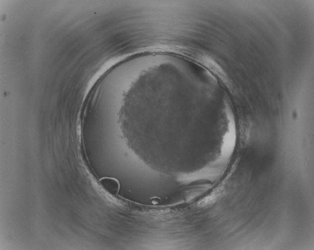 X0000067891428200604201257