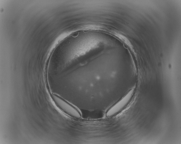 X0000067891429200604201257