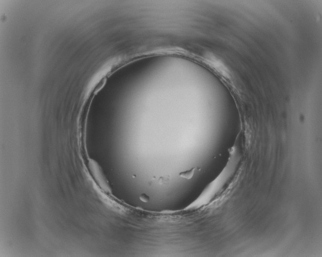 X0000067891430200604201257