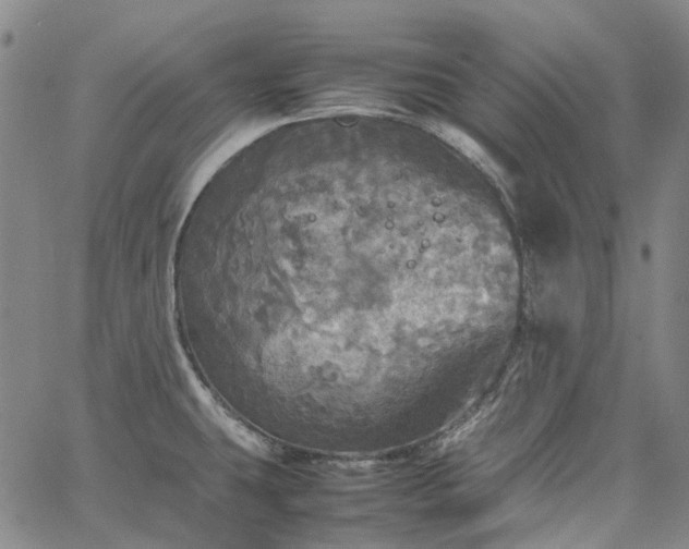 X0000067891431200604201257