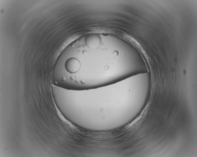 X0000067891433200604201258