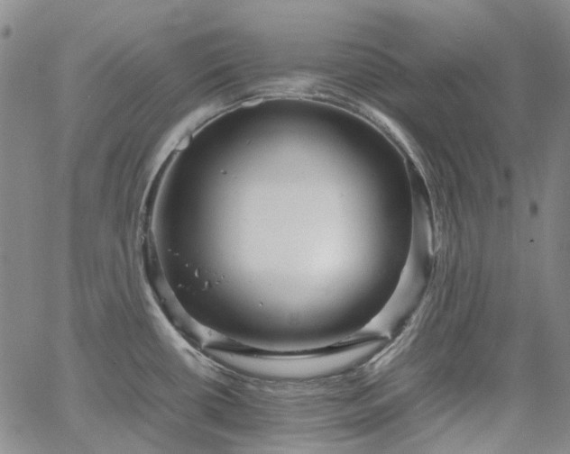 X0000067891434200604201258