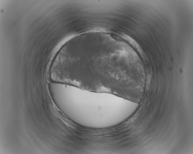 X0000067891435200604201258