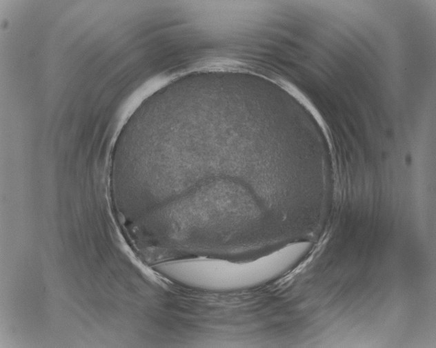 X0000067891437200604201258