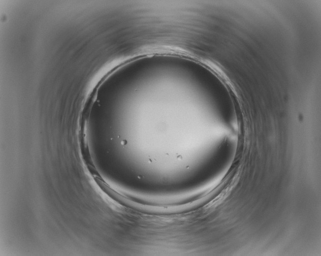 X0000067891438200604201258