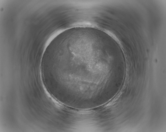 X0000067891440200604201258