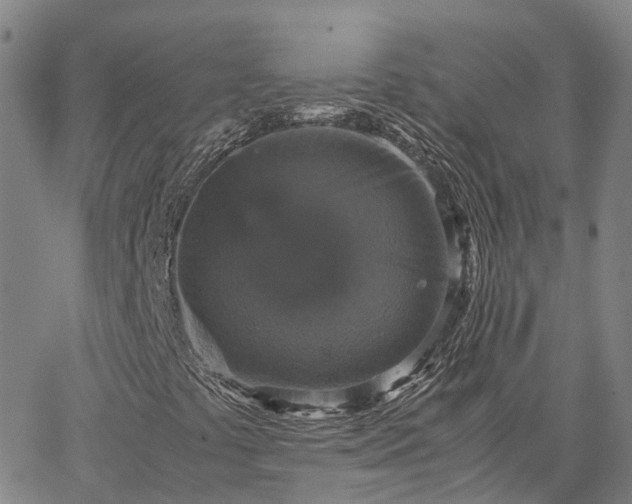 X0000067891441200604201257