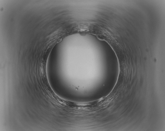 X0000067891442200604201257