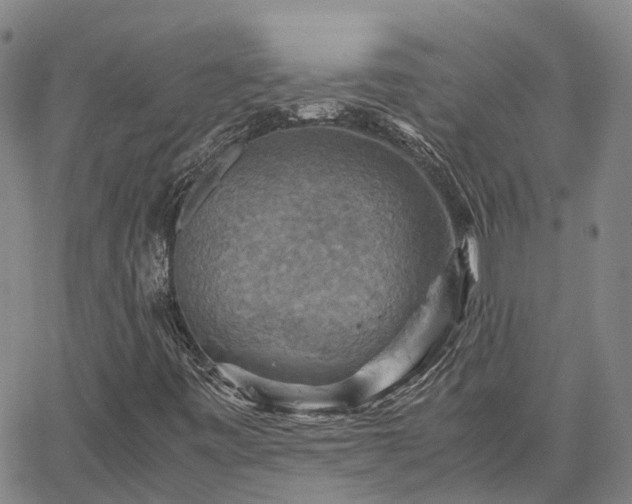 X0000067891443200604201257