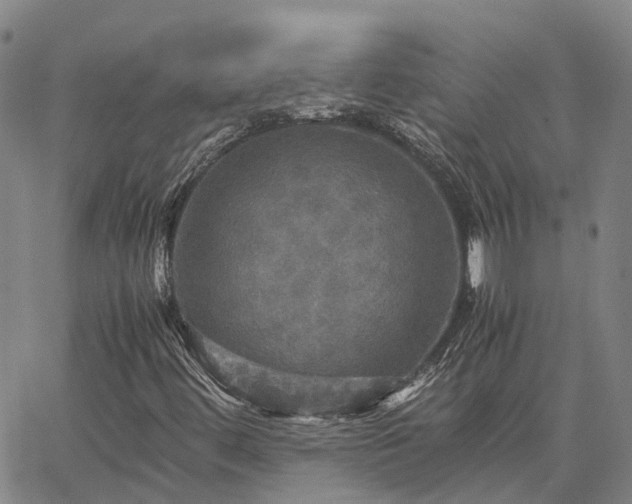 X0000067891444200604201257