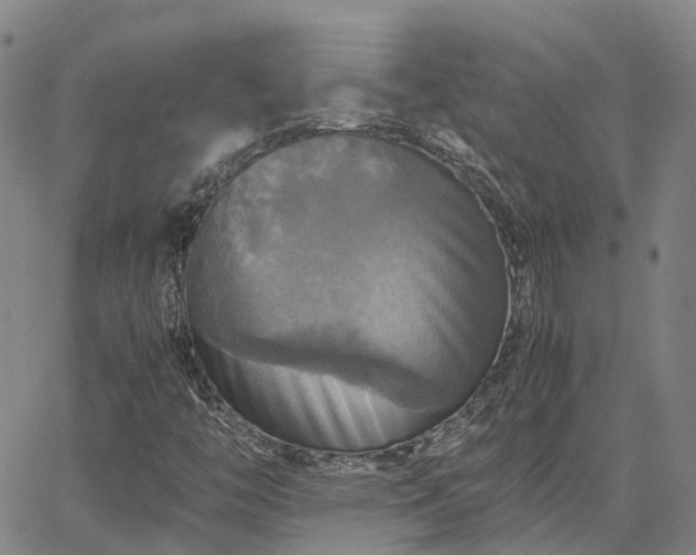 X0000067891446200604201257