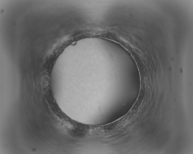 X0000067891447200604201257