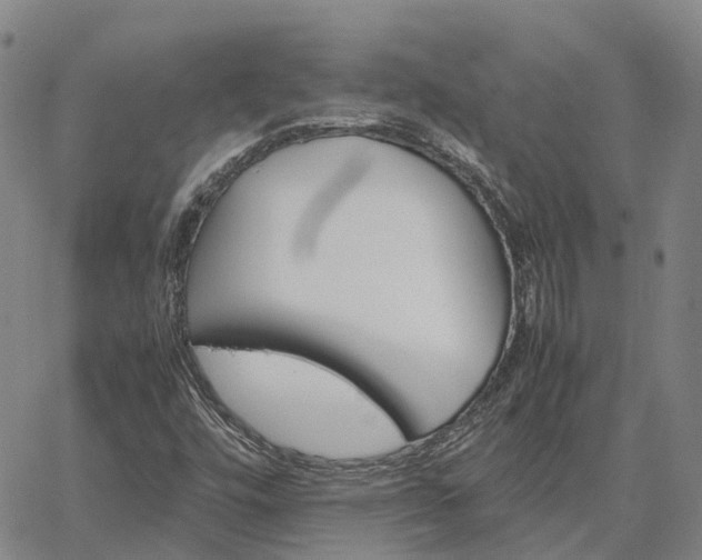 X0000067891448200604201257