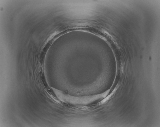 X0000067891449200604201257