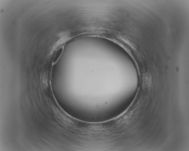 X0000067891451200604201257