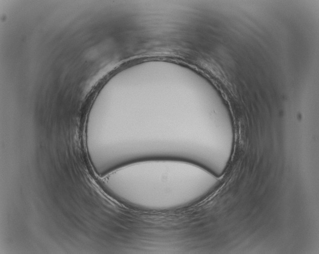 X0000067891452200604201257