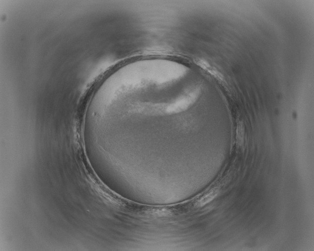 X0000067891454200604201257