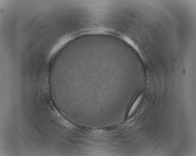 X0000067891456200604201257