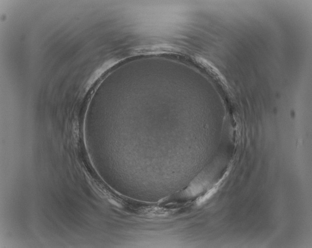 X0000067891457200604201257