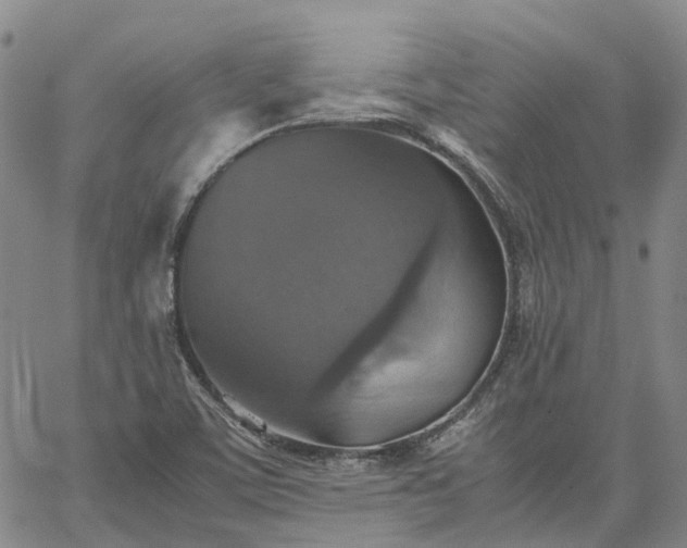 X0000067891459200604201257