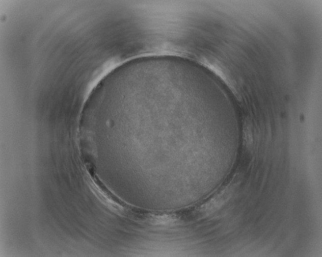 X0000067891460200604201257