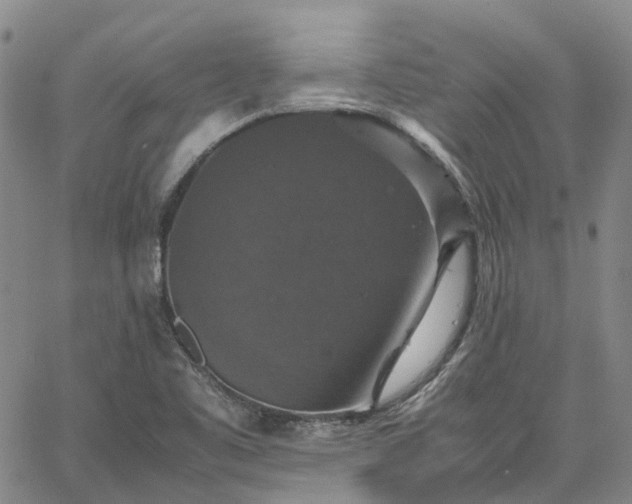 X0000067891461200604201257