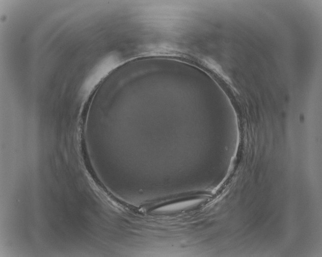 X0000067891463200604201256