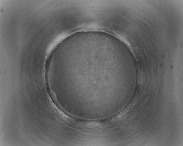 X0000067891464200604201256