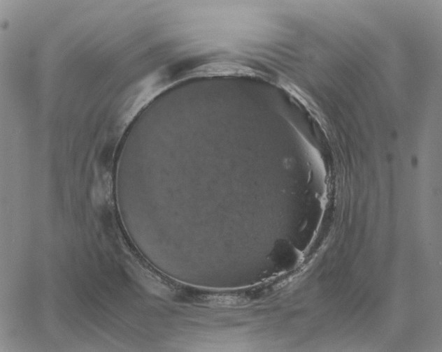 X0000067891465200604201256