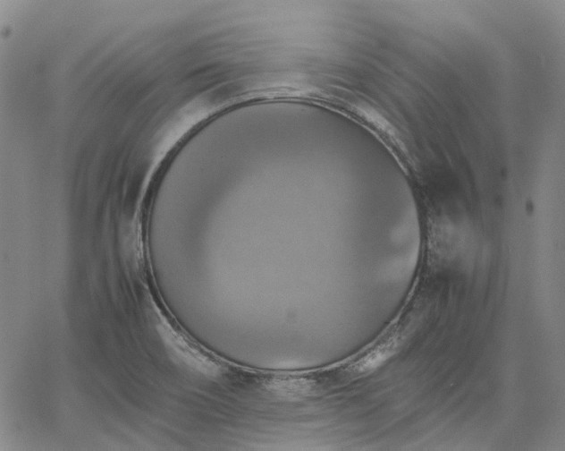 X0000067891466200604201256