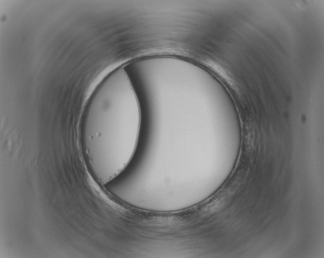 X0000067891468200604201256