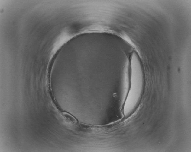 X0000067891469200604201256