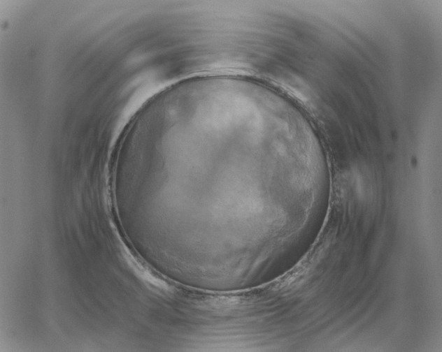 X0000067891470200604201256