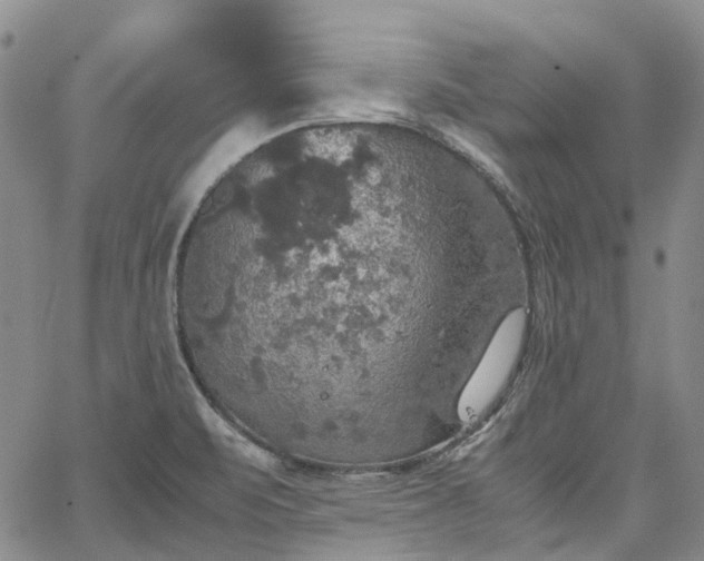 X0000067891471200604201256