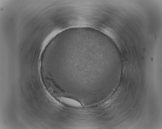 X0000067891472200604201256