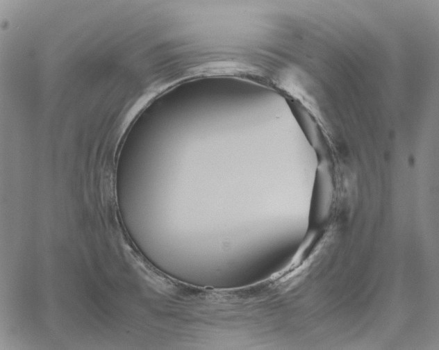 X0000067891473200604201256