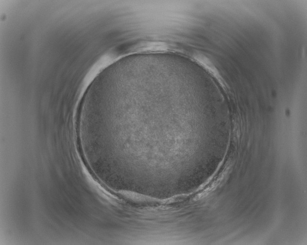 X0000067891475200604201256