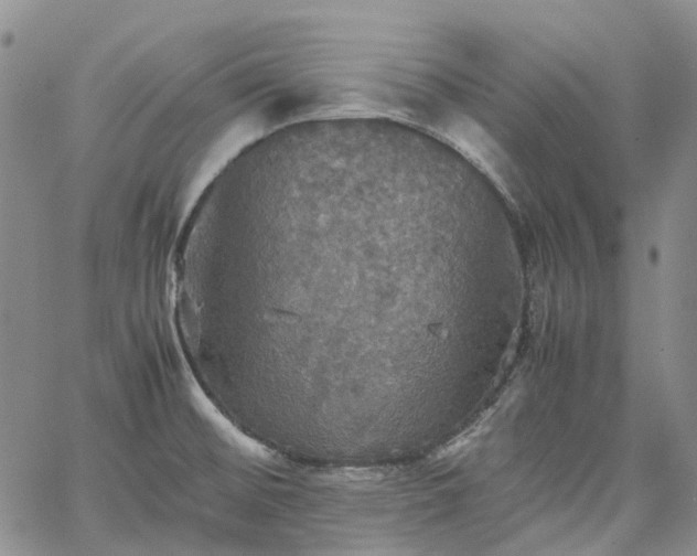 X0000067891476200604201256