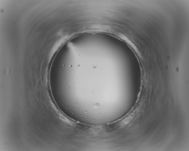 X0000067891477200604201256